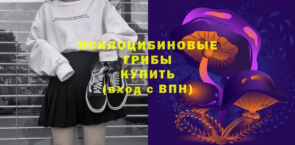 крисы Арсеньев