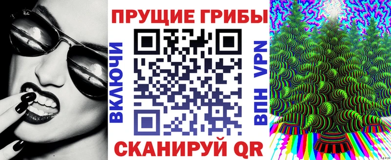 где найти наркотики  Талица  Псилоцибиновые грибы Cubensis 