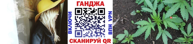 Бошки марихуана Amnesia  Талица 